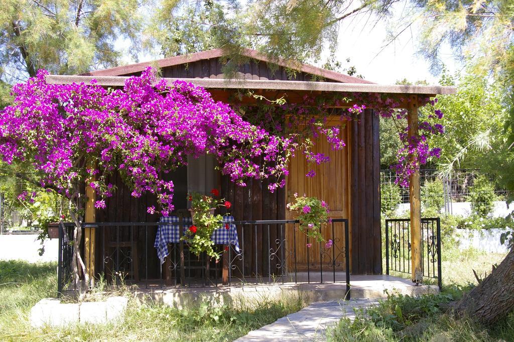 Arriba Pension & Restaurant Gumusluk Exterior photo